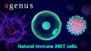 Agenus Inc. (NASDAQ: AGEN) Intends Present New Results on Its Expanding Portfolio of Clinical-Stage Immuno-Oncology Initiatives Agenus Inc. (NASDAQ: AGEN) Intends Present New Results on Its Expanding Portfolio of Clinical-Stage Immuno-Oncology Initiatives